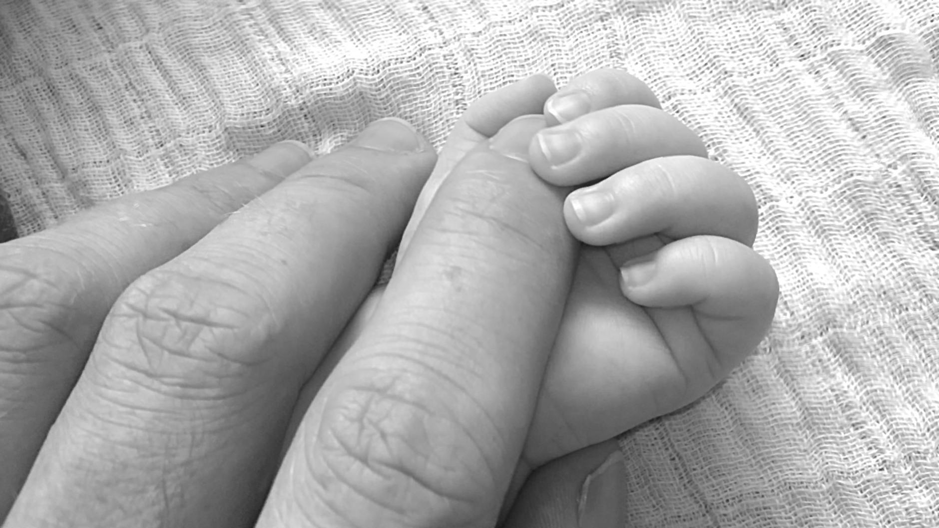 close up photo holding hands of baby and human